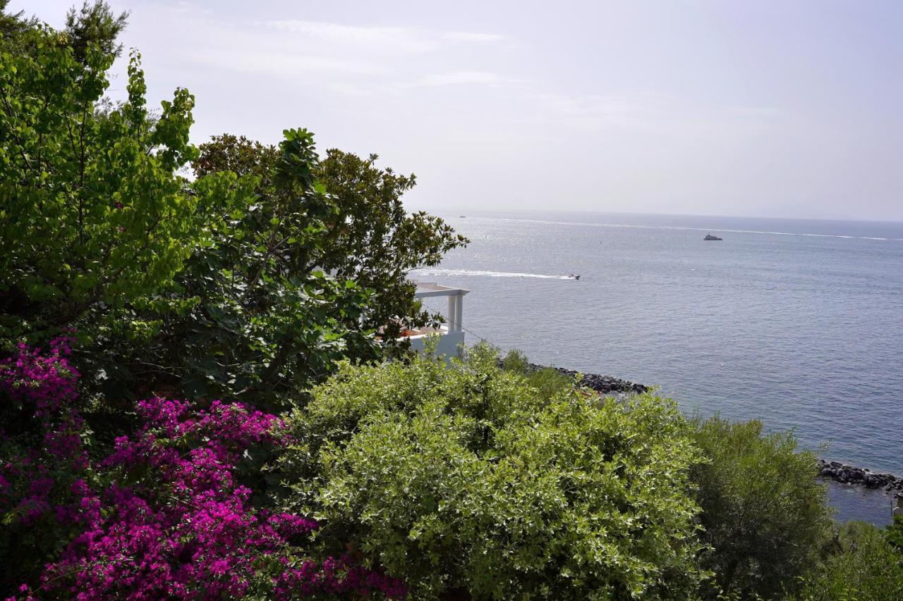 La Rosa Dei Venti Villa Massa Lubrense Exterior photo